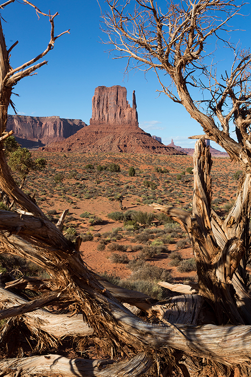 10-12 - 11.jpg - Monument Valley